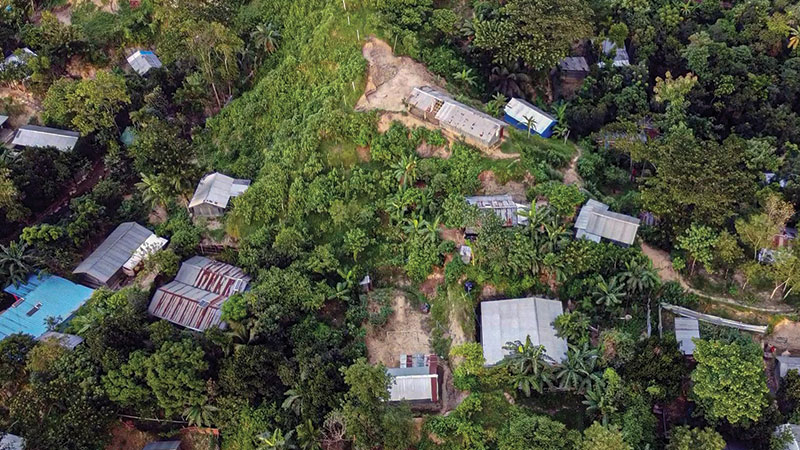 top 10 facts about jangal salimpur